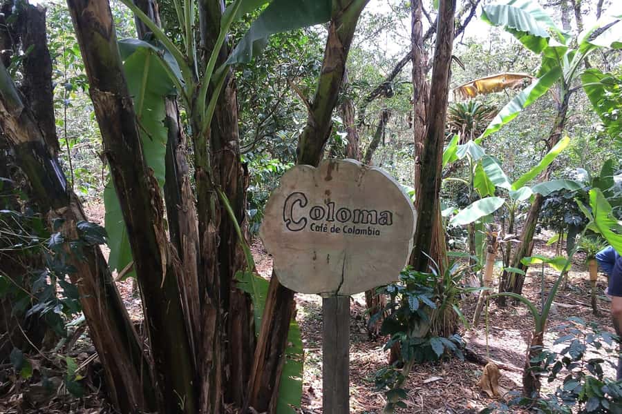 From Bogotá: Coffee Farm Experience Private Day Tour - Quick hits at Hacienda Coloma