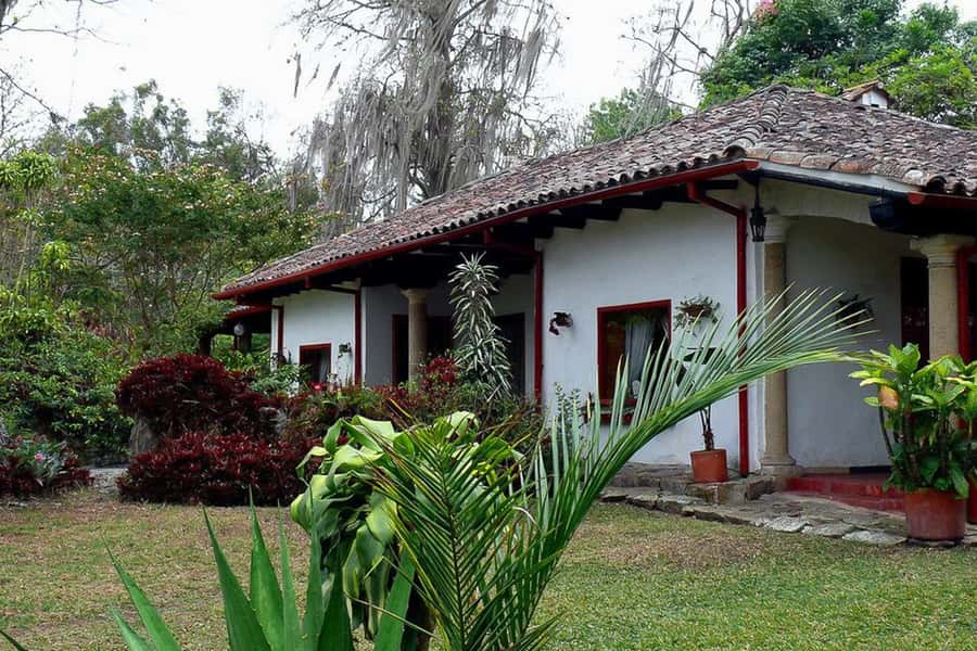 From Bogotá: Coffee Farm Experience Private Day Tour - From Bogotá to Fusagasugá: why this 8-hour schedule works