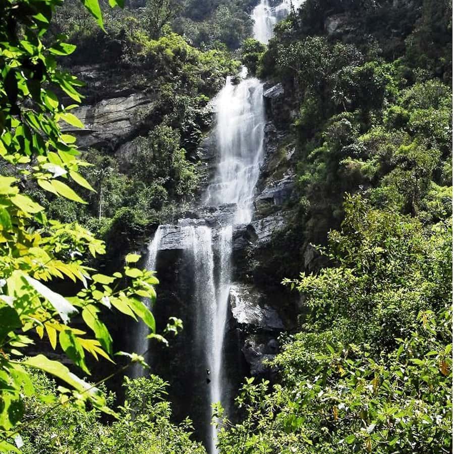 From Bogota: La Chorrera Waterfall Guided Hike - La Chorrera Waterfall: what the hike really feels like