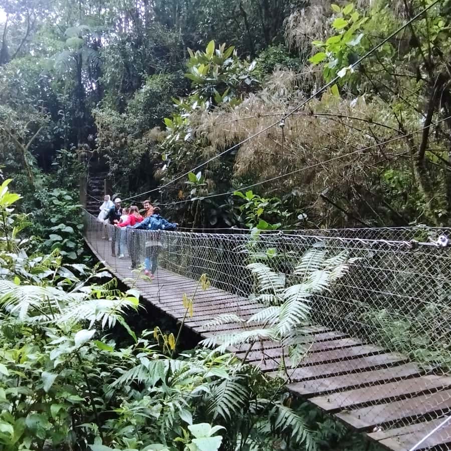 From Bogota: La Chorrera Waterfall Guided Hike - Price and value: is $97 a good deal?