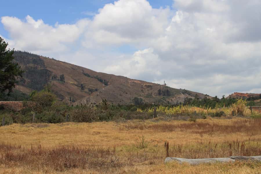 From Bogotá: Private Tour to Villa de Leyva - Chocolate museum: a tasty stop that breaks up the day