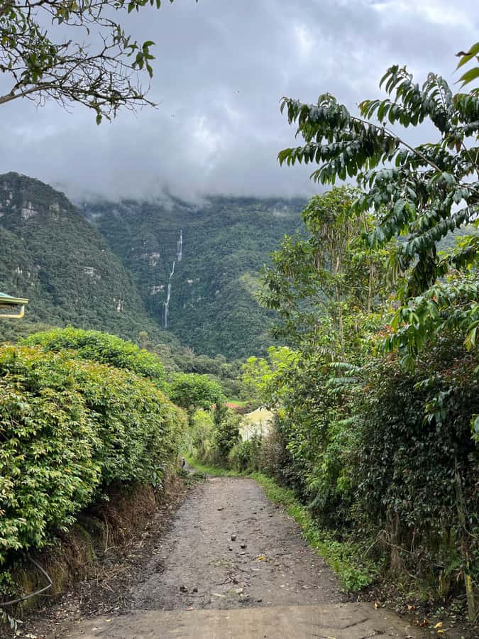 FROM BOGOTA: Tour to La Chorrera, Colombia's highest waterfall. - Key highlights at a glance