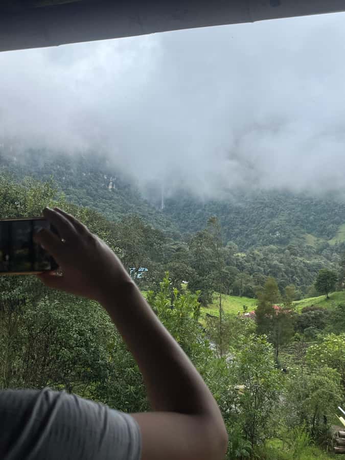 FROM BOGOTA: Tour to La Chorrera, Colombia's highest waterfall. - The 3-Hour Guided Hike: How the Forest Turns Your Walk Into the Main Event