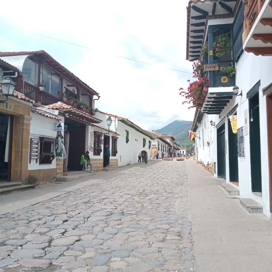 From Bogota: Villa de Leyva Day Magic Town Tour - CIP Museum (Paleontological Research Center): where the science gets real