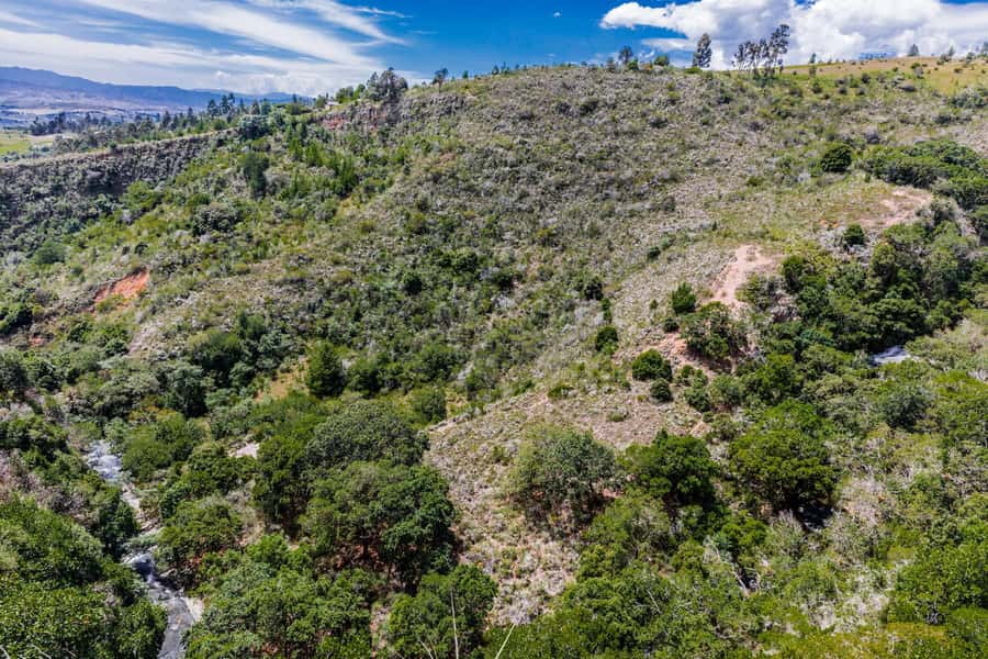 From Villa de Leyva: La Periquera Hiking Tour - Why La Periquera Feels Like a Quick Nature Reset