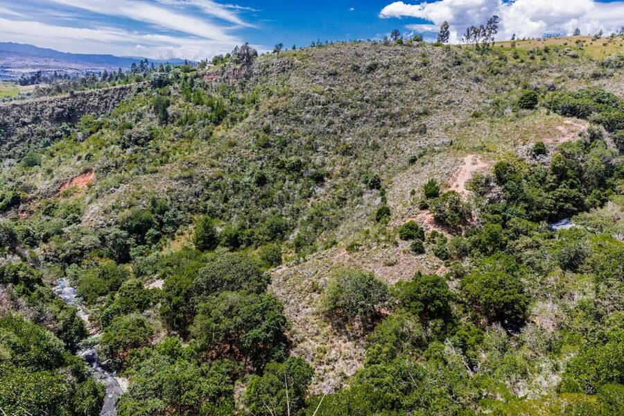 From Villa de Leyva: La Periquera Hiking Tour - FAQ