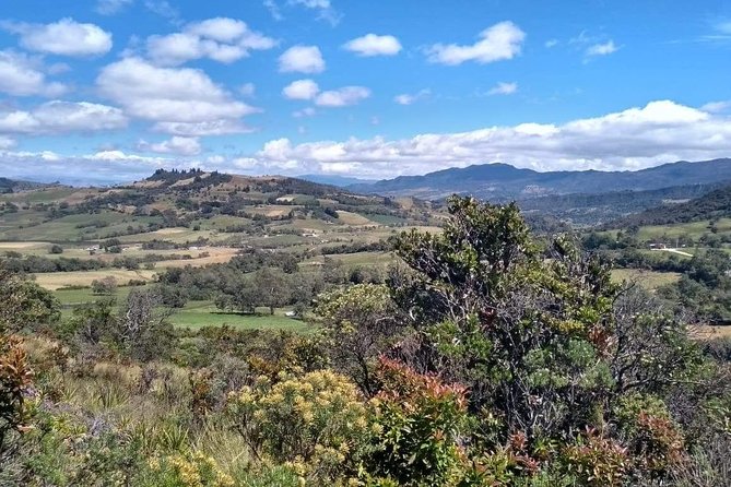 Guatavita Lake & Salt Cathedral Tour. - Flex requests: swapping in Monserrate