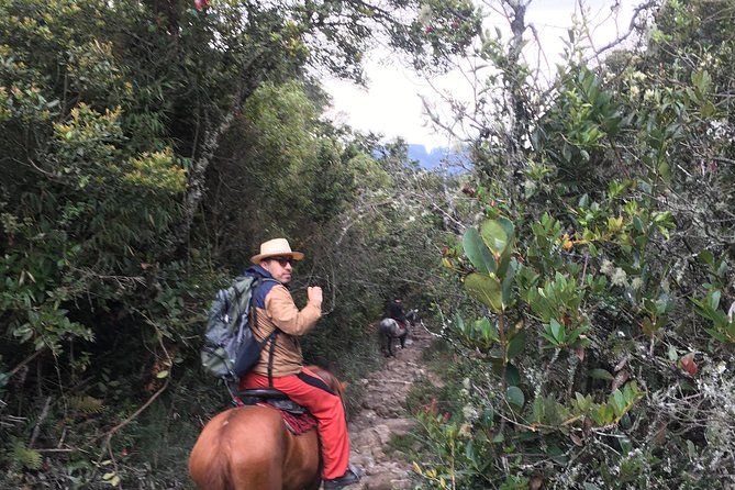 Horseback Riding from Guadalupe to Monserrate Private Day-Tour - Getting Back Down: Cable Car or Funicular