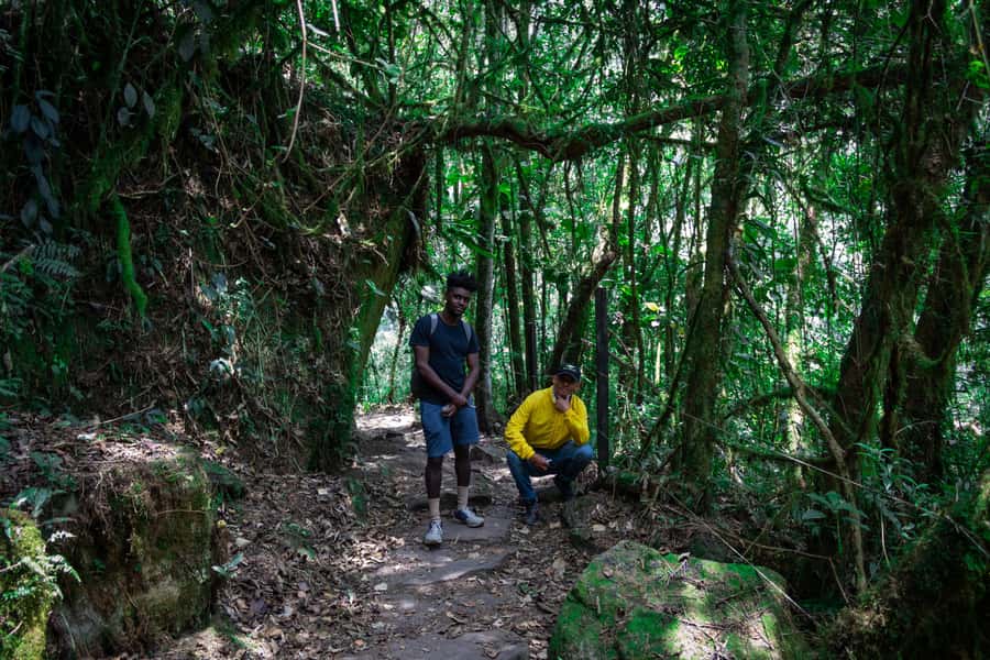 La Chorrera and Chiflon Waterfalls Private Hike Tour - From Bogotá To Choachí: The Start That Sets the Tone