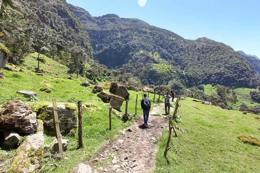La Chorrera and Chiflon Waterfalls Private Hike Tour - Private Guide Value: Names, Style, and What You Actually Learn