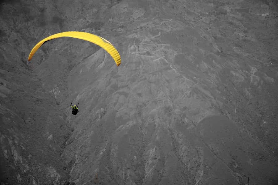 Paragliding Activity with Transfers from Bogota - Language and Staff: The Part That Makes You Relax