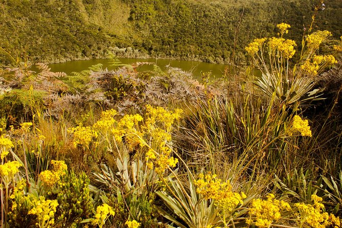 Private Zipaquira Salt Cathedral and Guatavita Lagoon Tour from Bogota - What to Pack and How to Handle the Weather