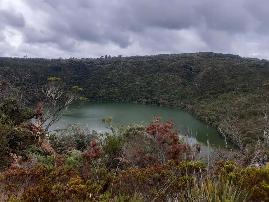 Salt Cathedral and Guatavita Lake with Lunch and Guide - Who should book this tour, and who should skip it