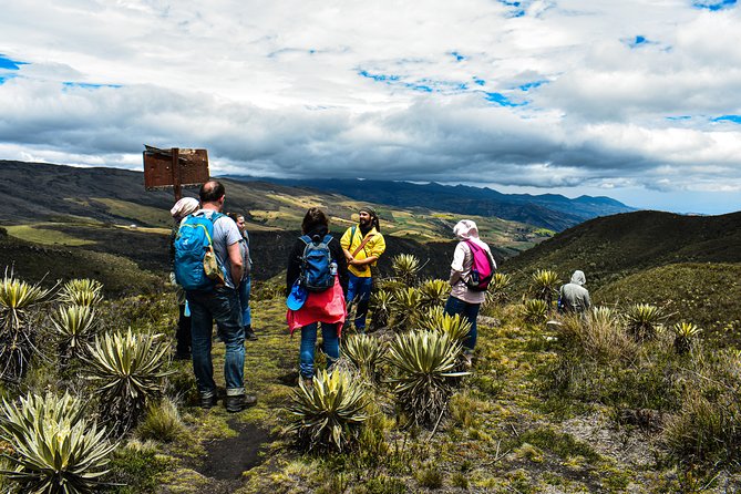 Sumapaz Páramo Private Hike Tour - Why Sumapaz Páramo feels like another planet outside Bogotá