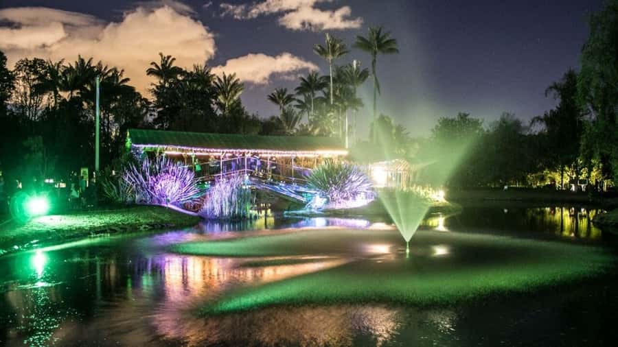 Walking tour José Celestino Mutis Botanical Garden 3 hrs - Quick take: key highlights