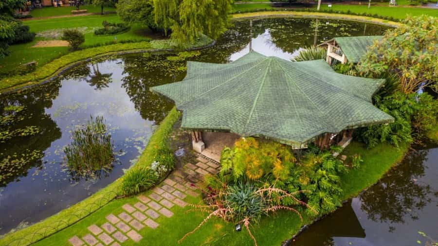 Walking tour José Celestino Mutis Botanical Garden 3 hrs - What you’ll see during the walk: species, orchids, and everyday nature